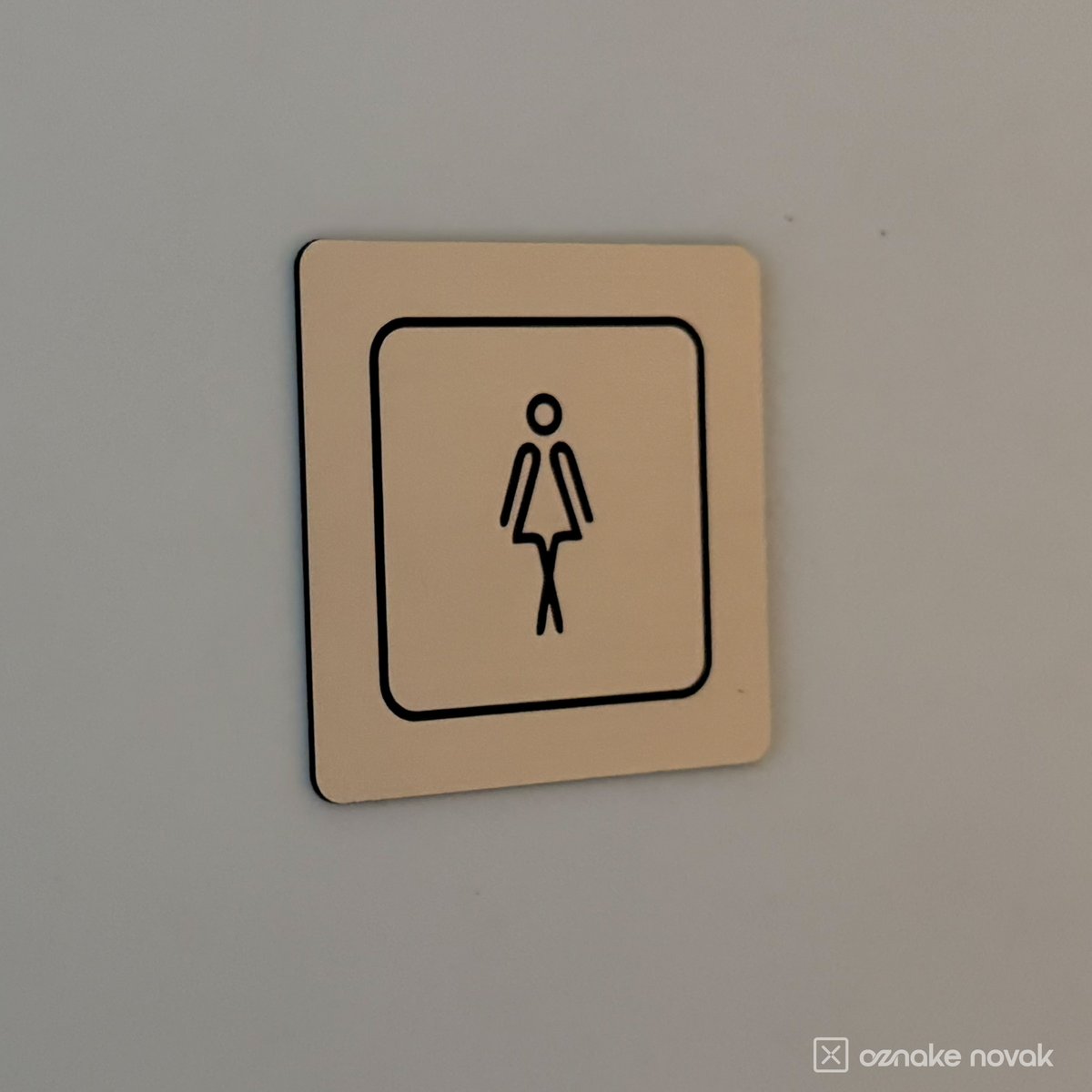 Women's restroom sign mounted on a wall under warm light