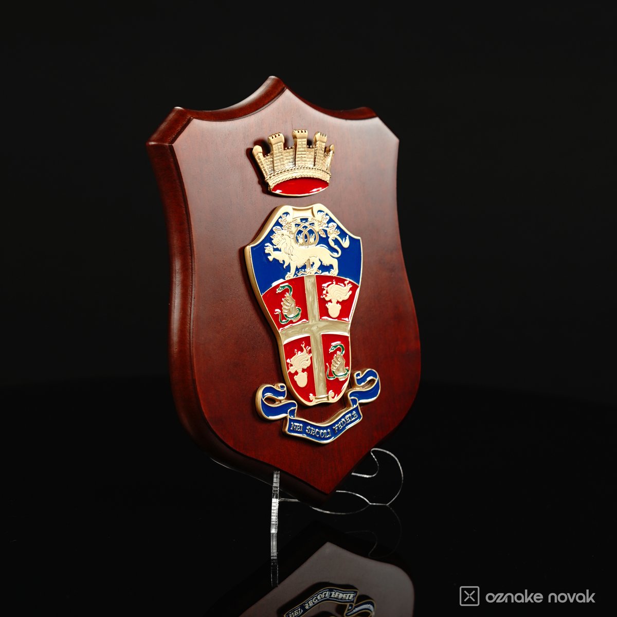 Wooden shield plaque with an enamelled heraldic coat of arms in blue, red and gold under a gold crown