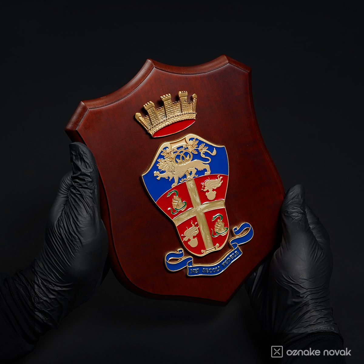 Gloved hands holding a wooden shield plaque with an enamelled coat of arms under a gold crown